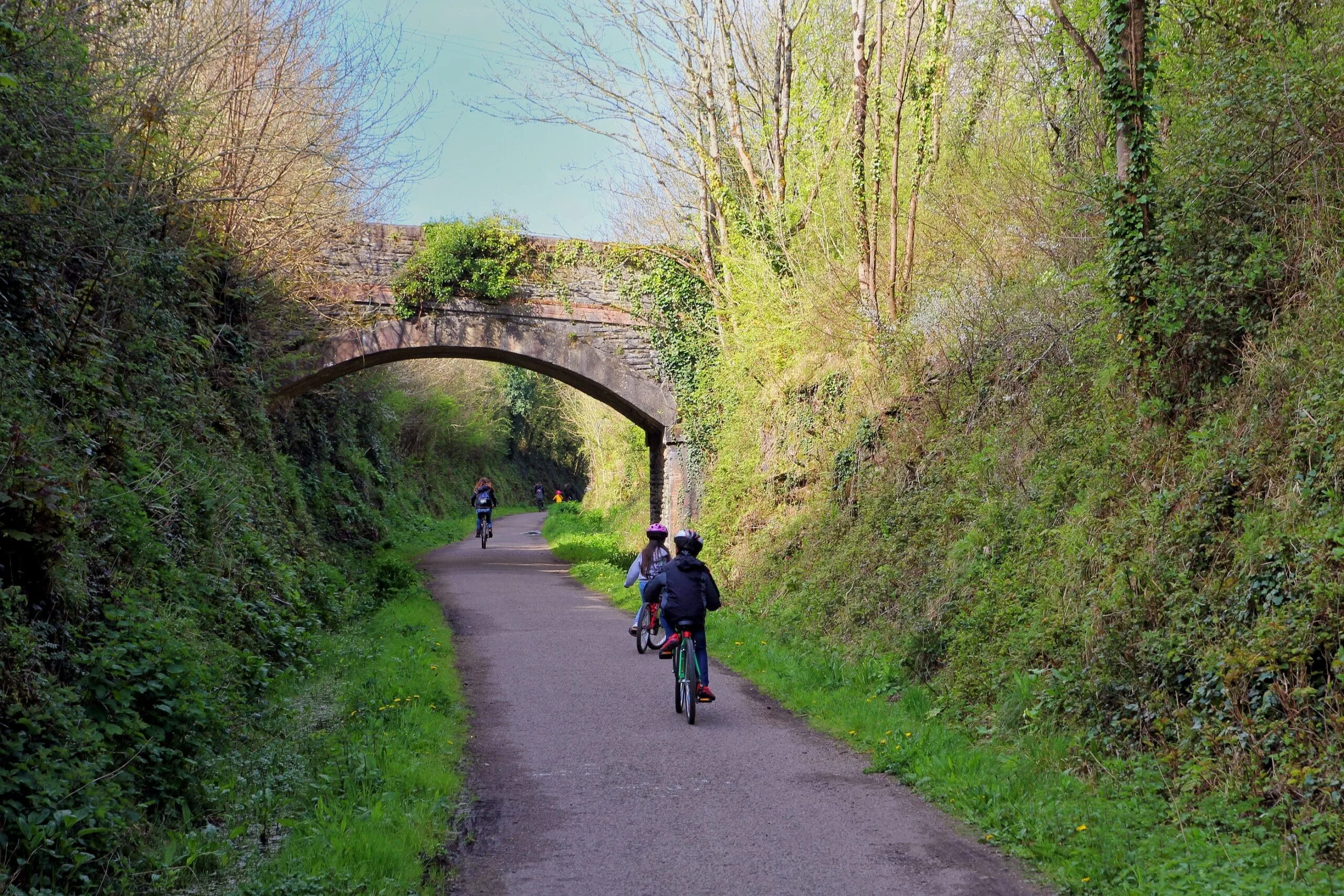Cyclists riding along the camel trail between Wadebridge and Padstow, Cornwall